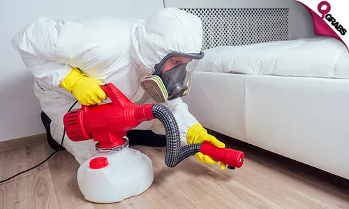 Pest Control Treatment Services!